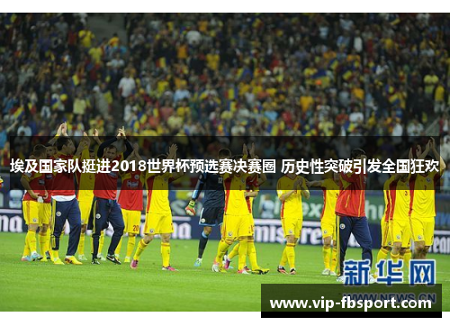埃及国家队挺进2018世界杯预选赛决赛圈 历史性突破引发全国狂欢