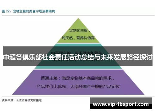中超各俱乐部社会责任活动总结与未来发展路径探讨