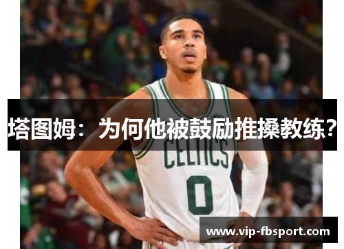 塔图姆：为何他被鼓励推搡教练？