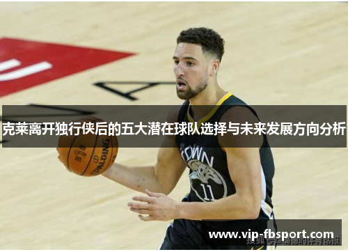 克莱离开独行侠后的五大潜在球队选择与未来发展方向分析