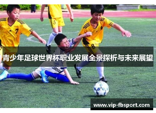 青少年足球世界杯职业发展全景探析与未来展望